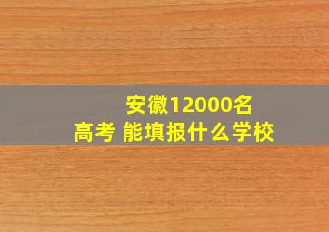 安徽12000名 高考 能填报什么学校